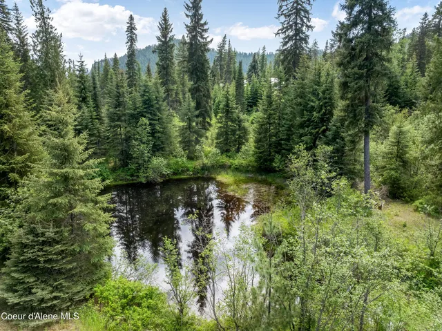 $1,725,000 | 435 Shady Pines Loop, Priest Lake, ID 83856