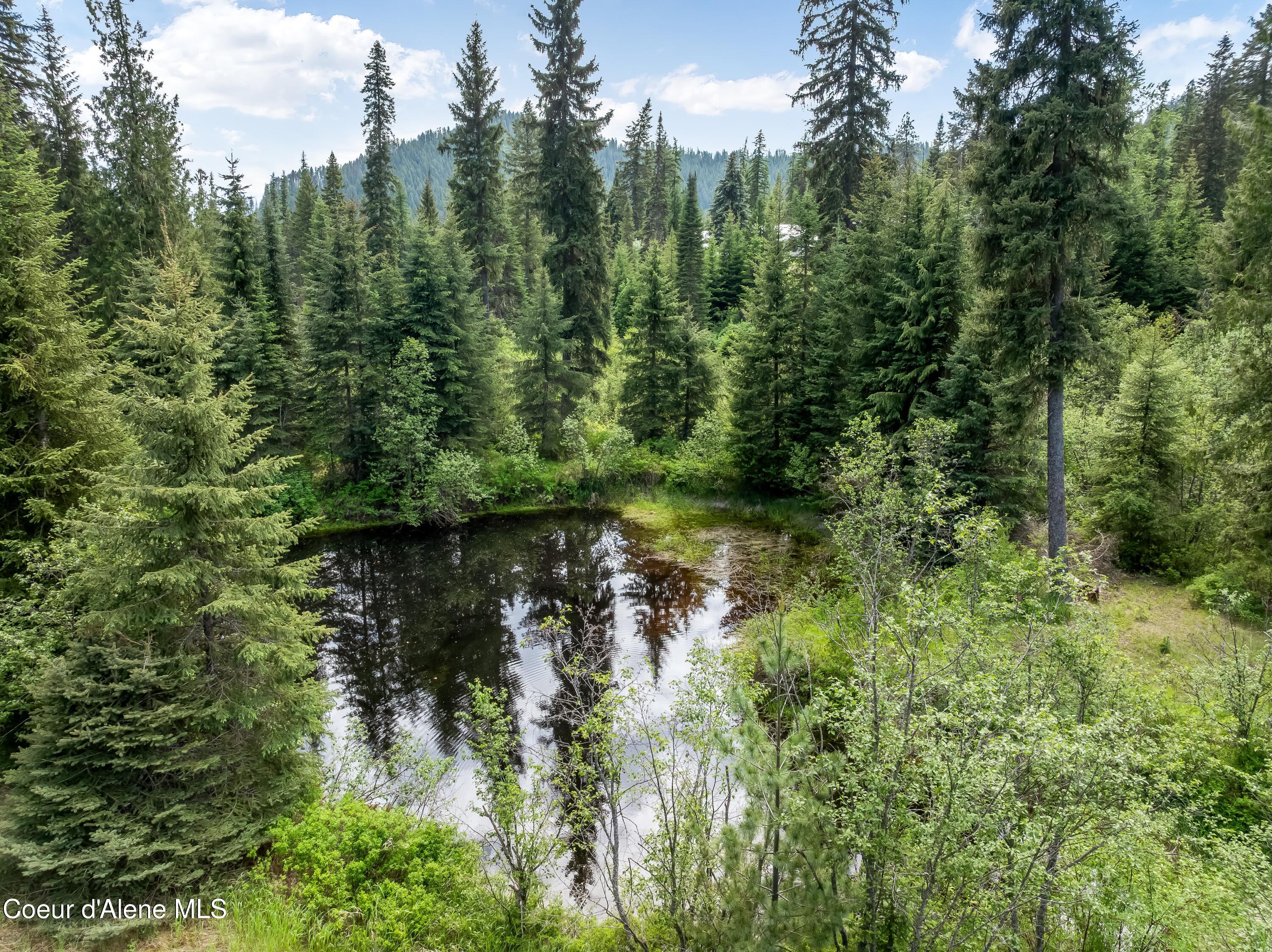 435 Shady Pines Loop Priest Lake, ID 83856 - Photo 71 of 85 Ponds 1