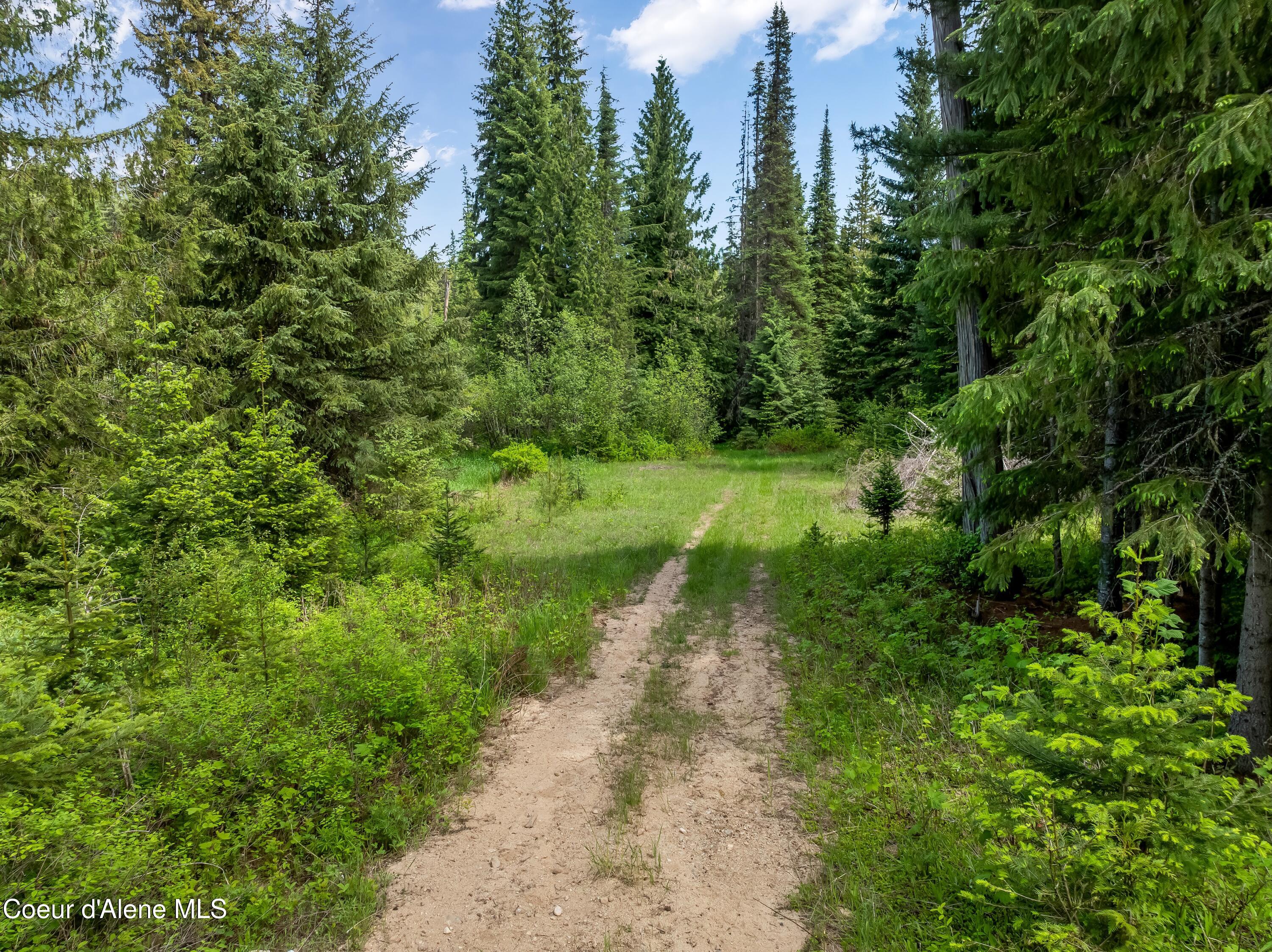 435 Shady Pines Loop Priest Lake, ID 83856 - Photo 72 of 85 Roads