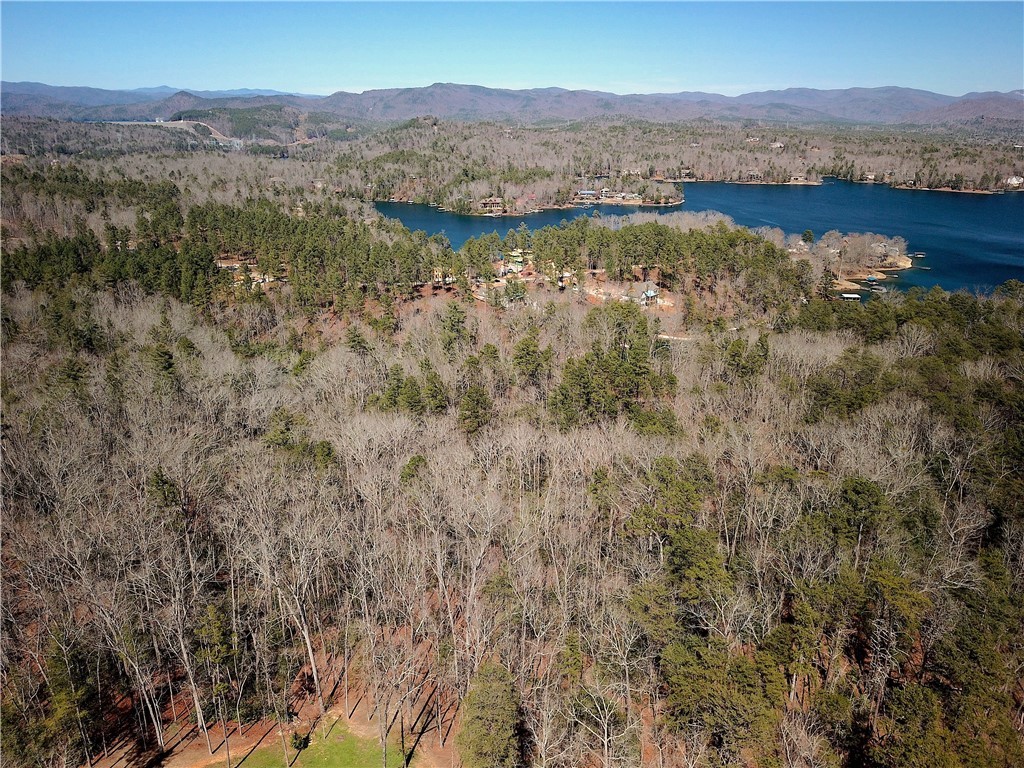 Lot 44 Turtlehead Drive Salem, SC 29676 - Photo 8 of 20 Gallery Image 8