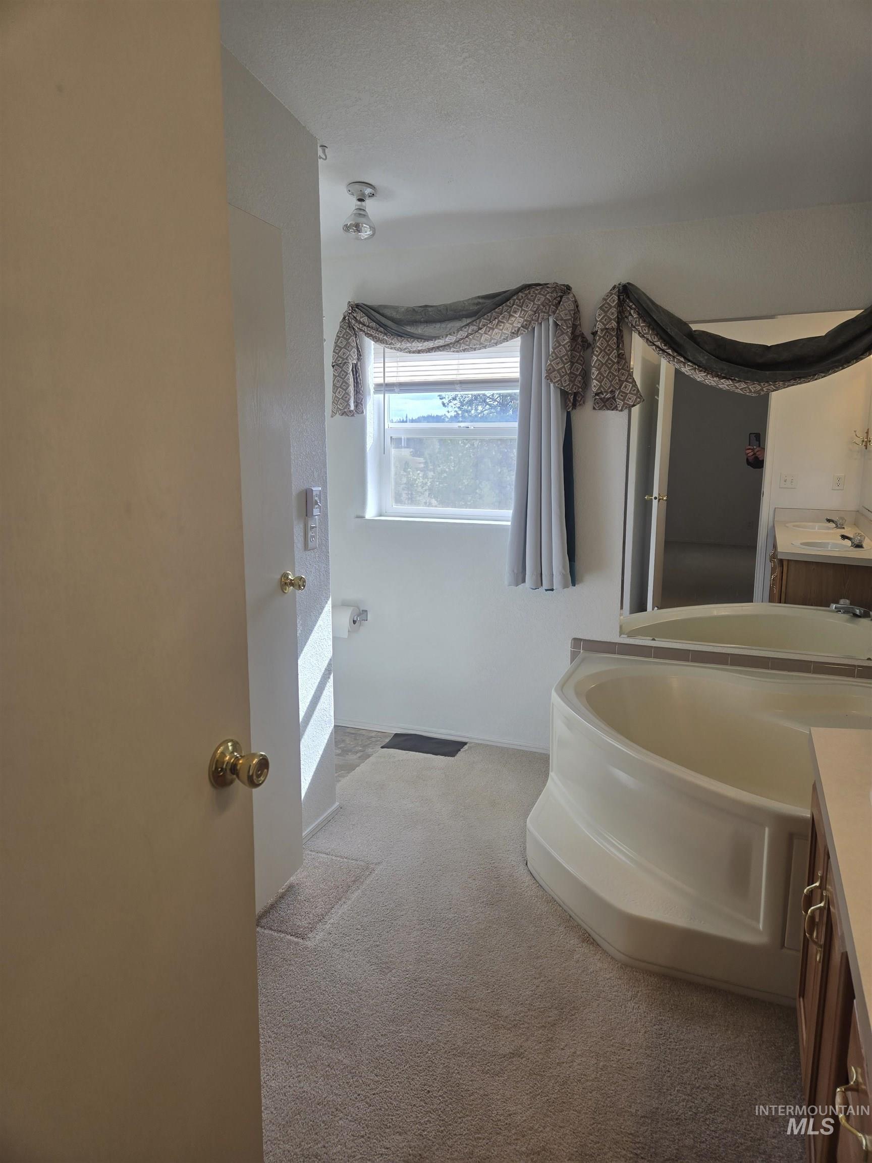 135 Harrisburg Road Kamiah, ID 83536 - Photo 13 of 41 Bathroom with vanity, light colored carpet, and a garden tub