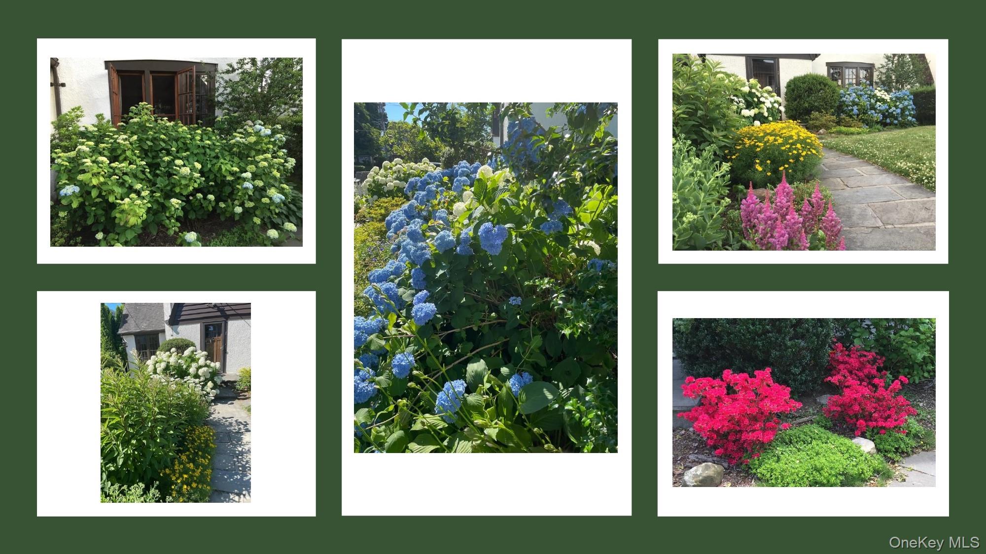 7 Bogert Place Bronxville, NY 10708 - Photo 2 of 34 Ready to bloom!