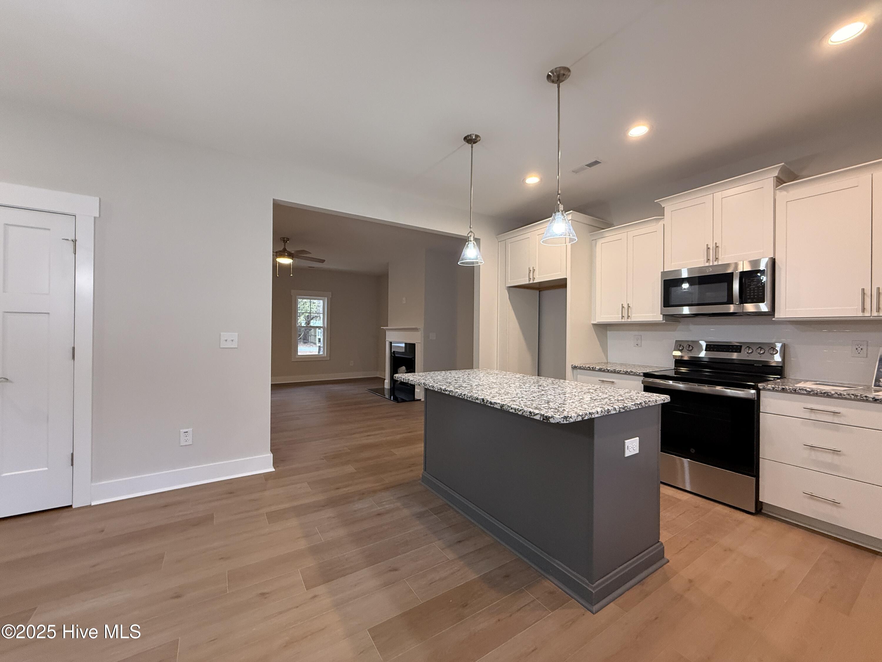 206 Scott Avenue Vass, NC 28394 - Photo 8 of 34 IMG_3719