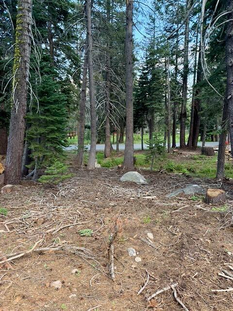 0 Quaking Aspen Road Arnold, CA 95223 - Photo 5 of 6