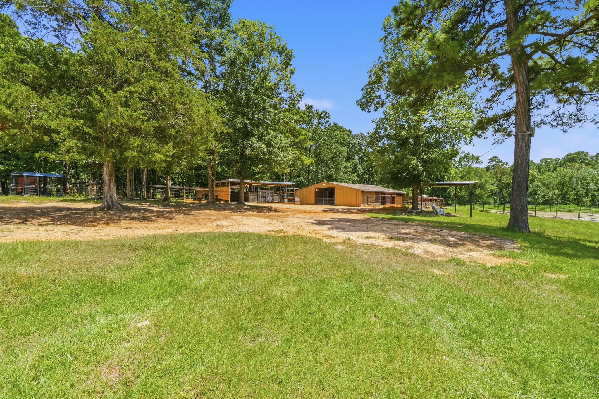 1239 Tony Peebles Road Livingston, TX 77351 - Photo 6 of 50 Gallery Image 6