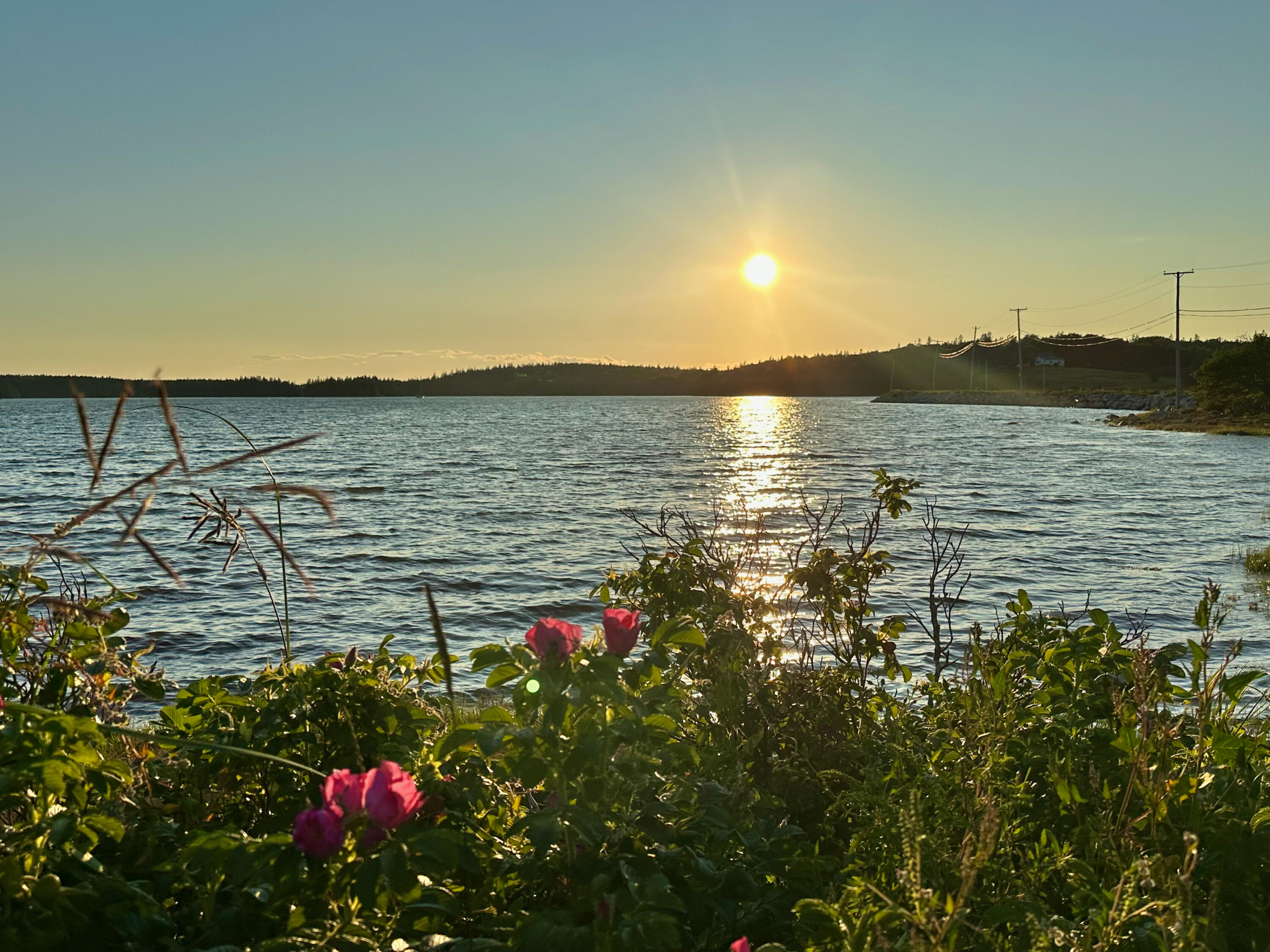 16 Eaton Point Road Deer Isle, ME 04627 - Photo 61 of 62 IMG_7619