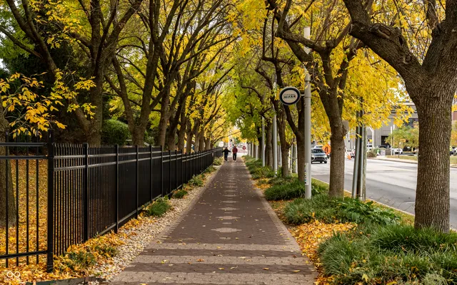 $3,500 | 435 Virginia Avenue, Unit 706, Indianapolis, IN 46203