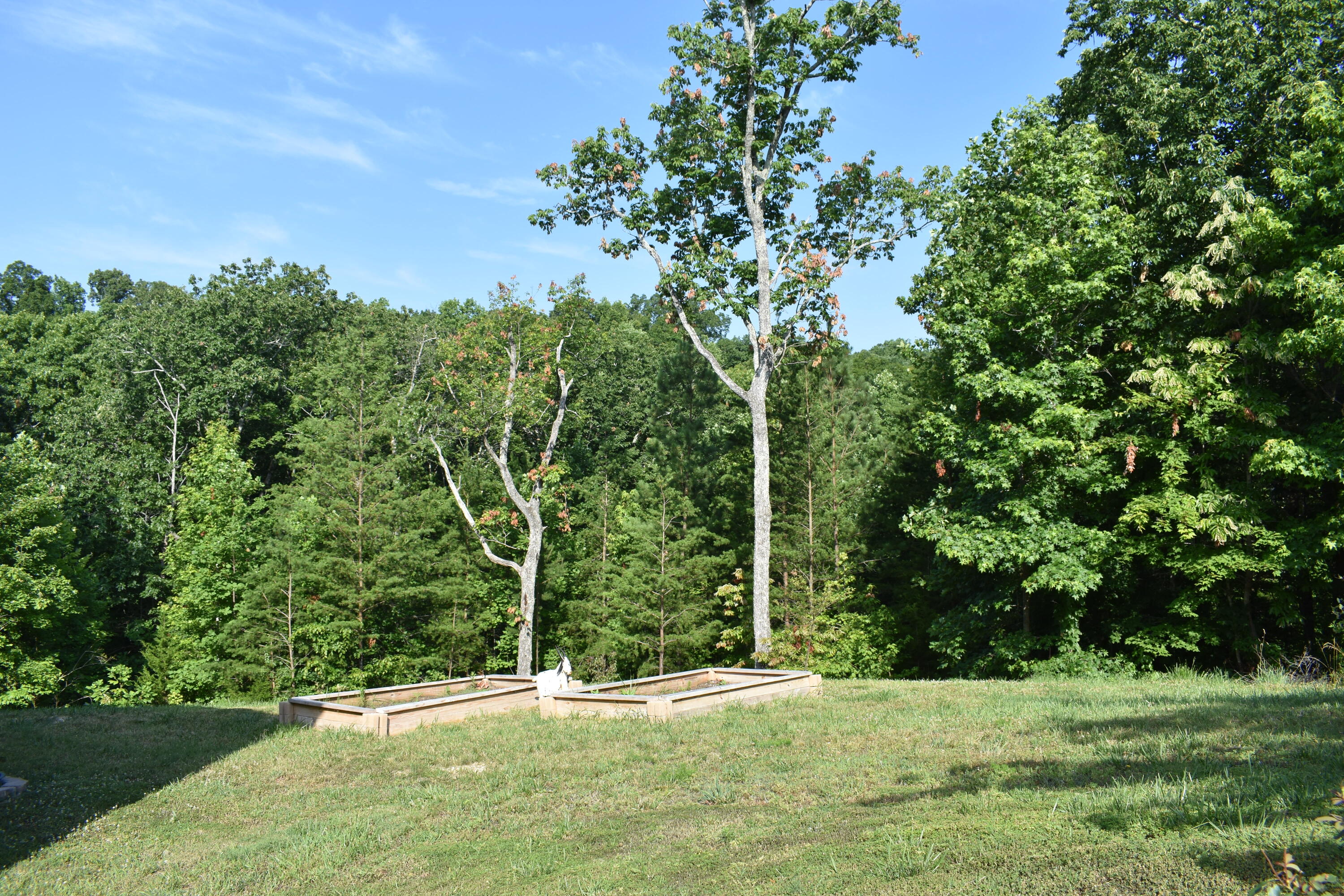 0 Roundtree Court, Unit 258 Flintstone, GA 30725 - Photo 3 of 6 DSC_0211