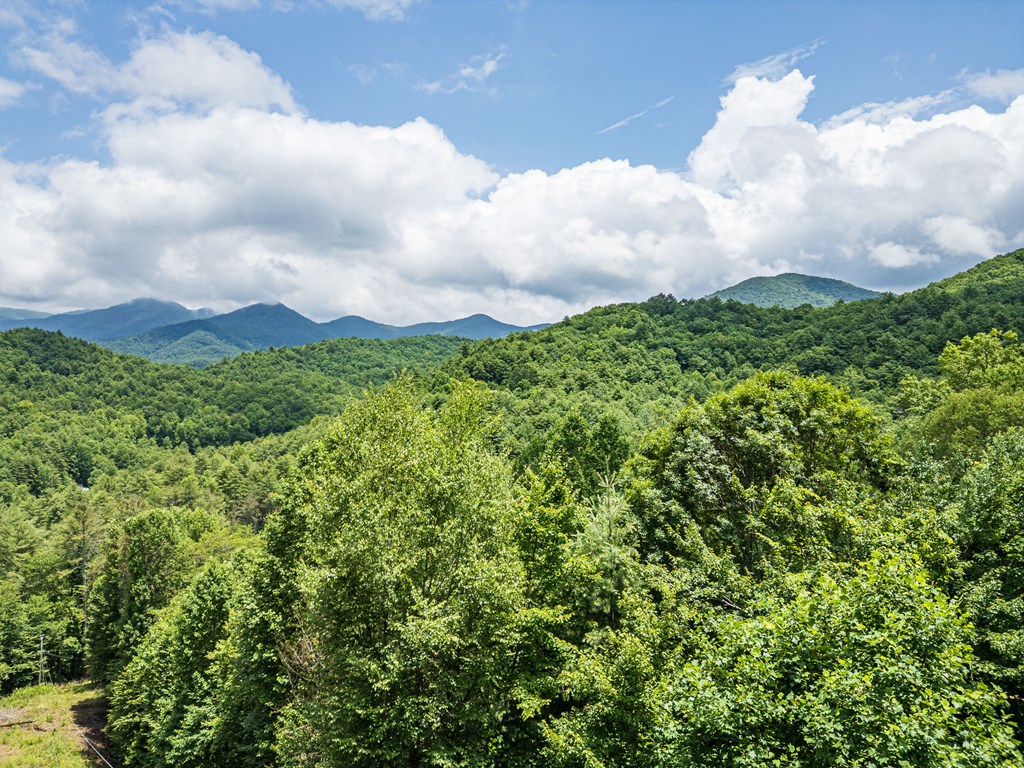 286 R J Mountain View Drive Murphy, NC 28906 - Photo 33 of 35 Gallery Image 33