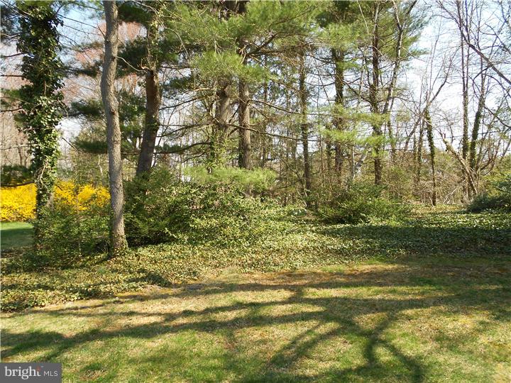608 Halstead Road Wilmington, DE 19803 - Photo 20 of 20 Back Yard