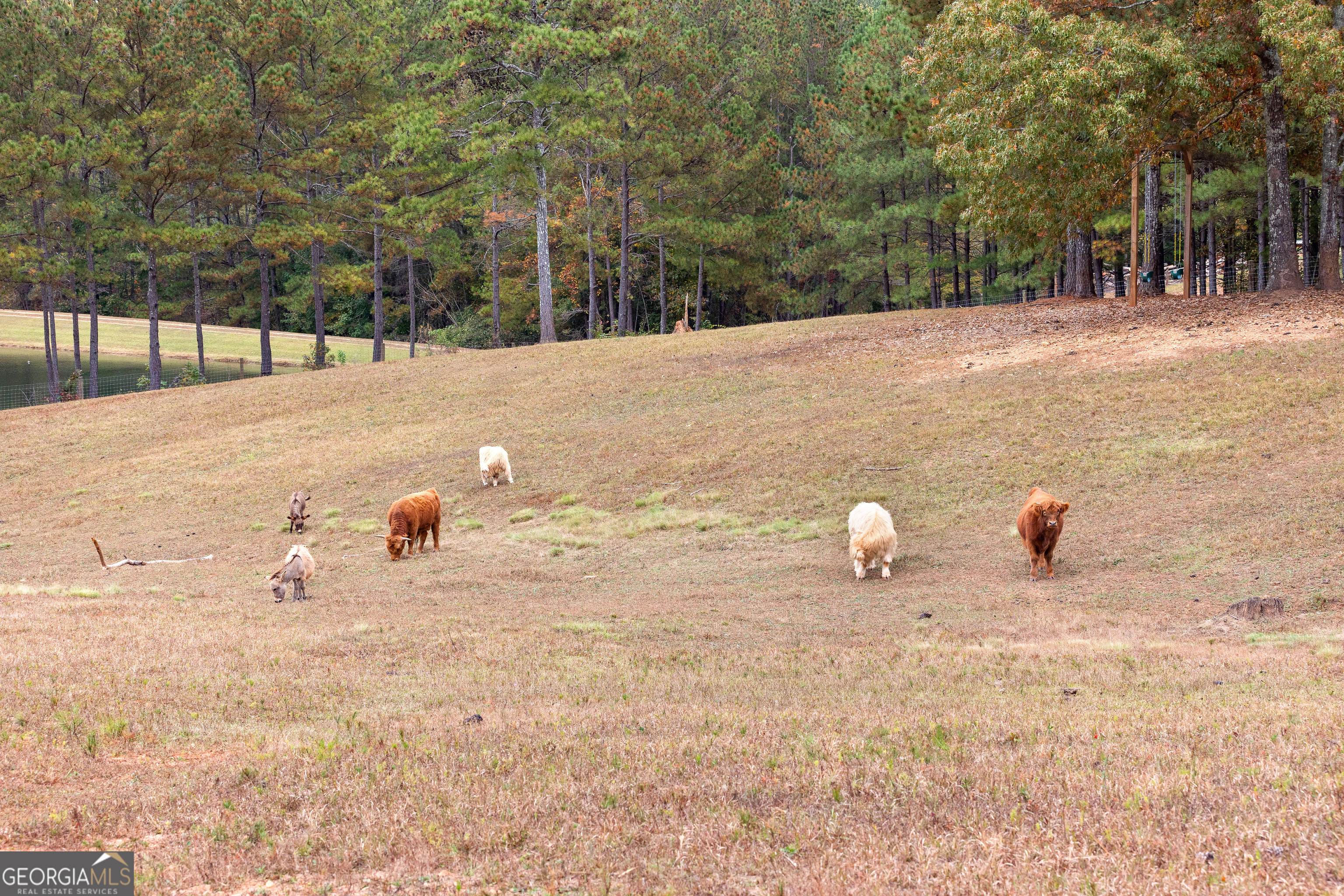 1915 Whooping Creek Church Road Carrollton, GA 30116 - Photo 16 of 52