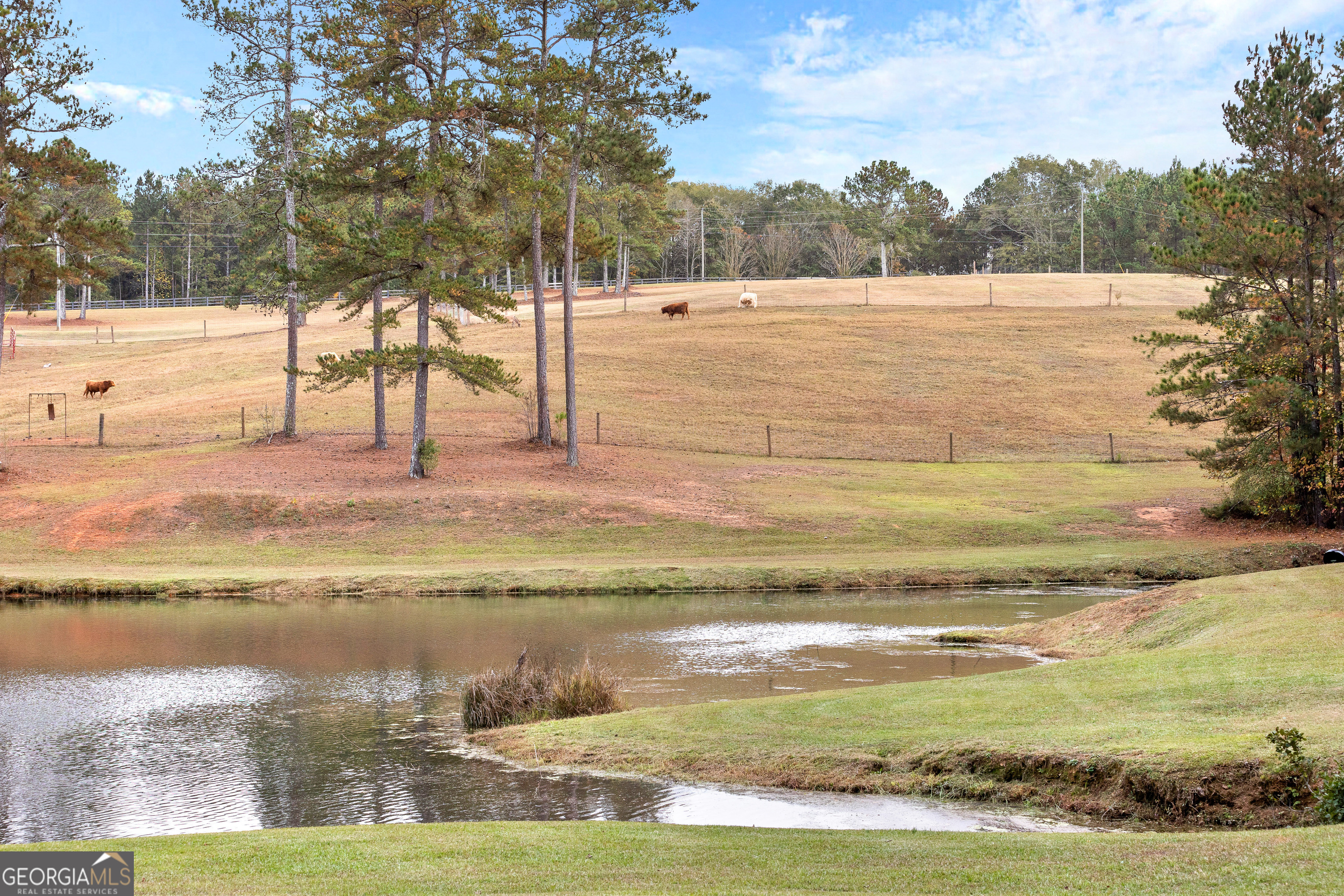 1915 Whooping Creek Church Road Carrollton, GA 30116 - Photo 19 of 52