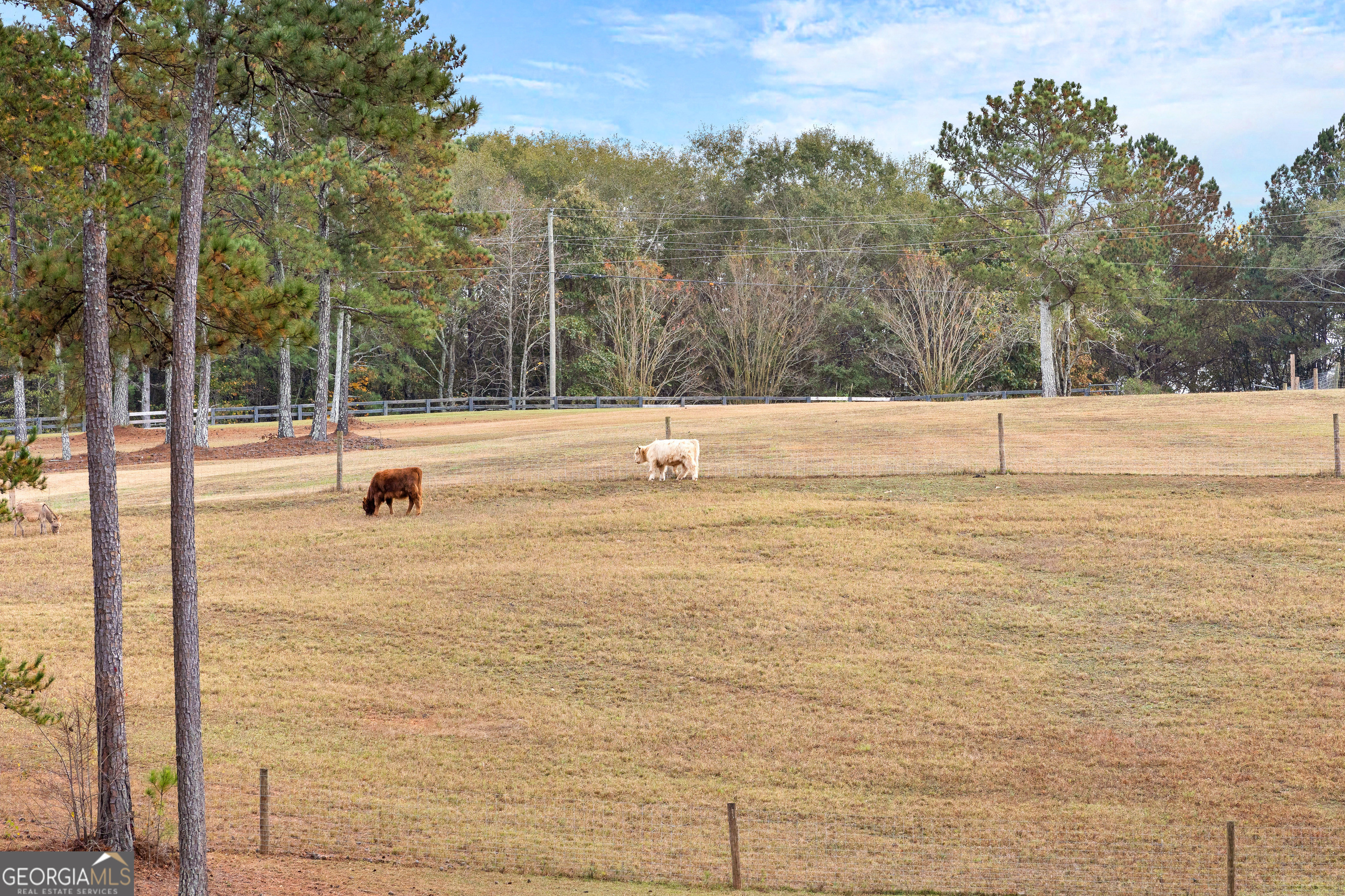 1915 Whooping Creek Church Road Carrollton, GA 30116 - Photo 22 of 52