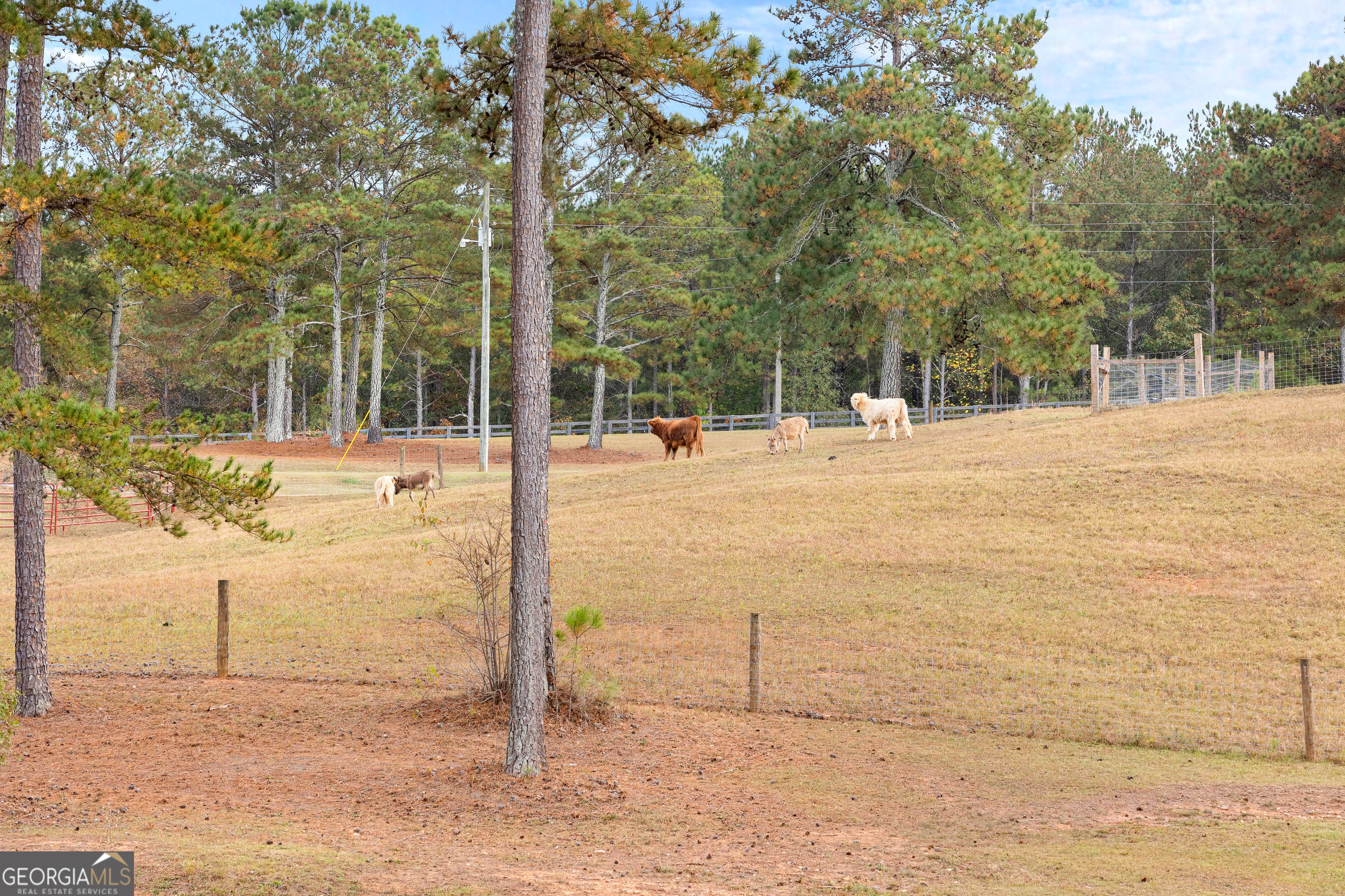 1915 Whooping Creek Church Road Carrollton, GA 30116 - Photo 23 of 52