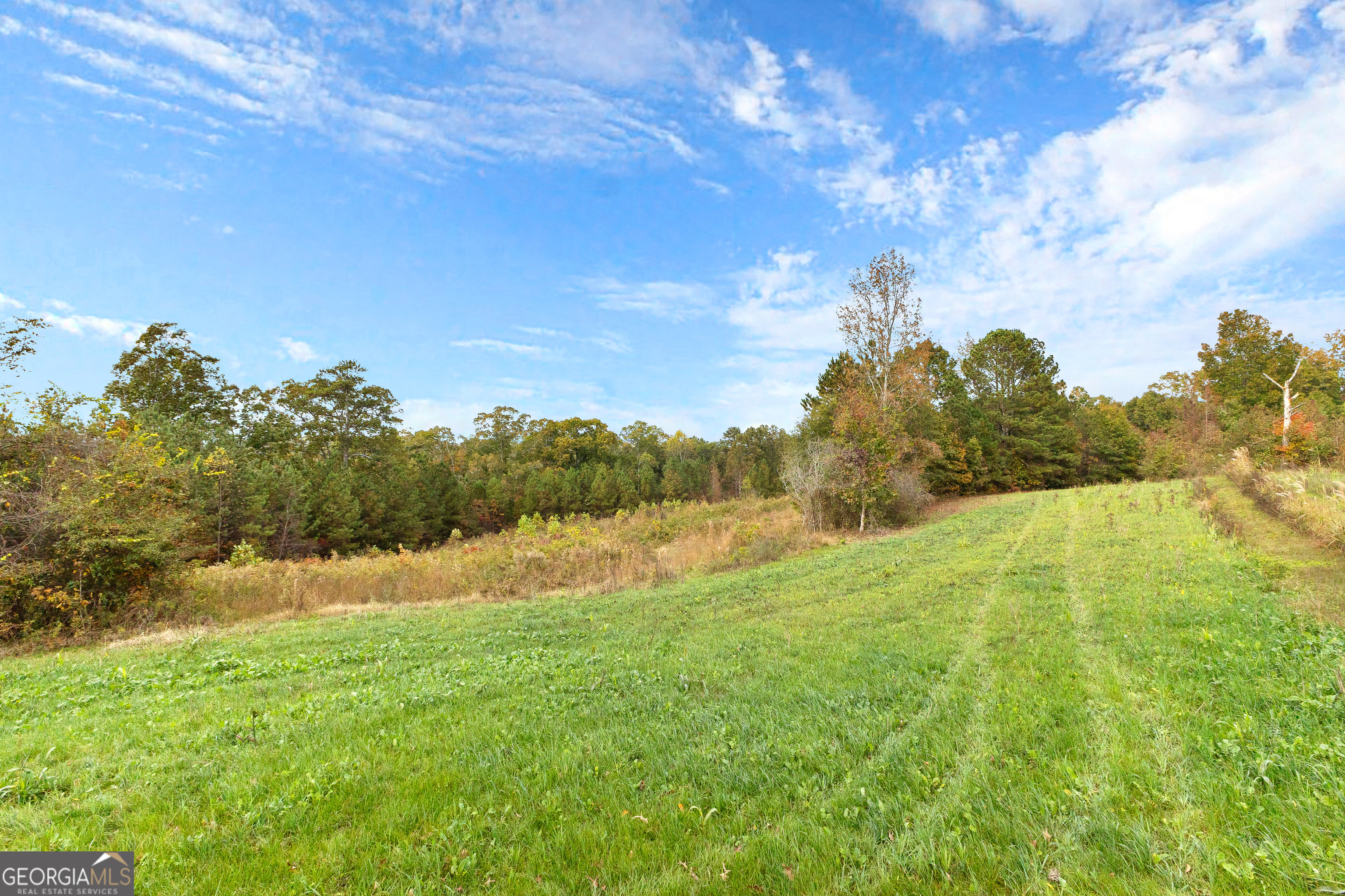 1915 Whooping Creek Church Road Carrollton, GA 30116 - Photo 30 of 52