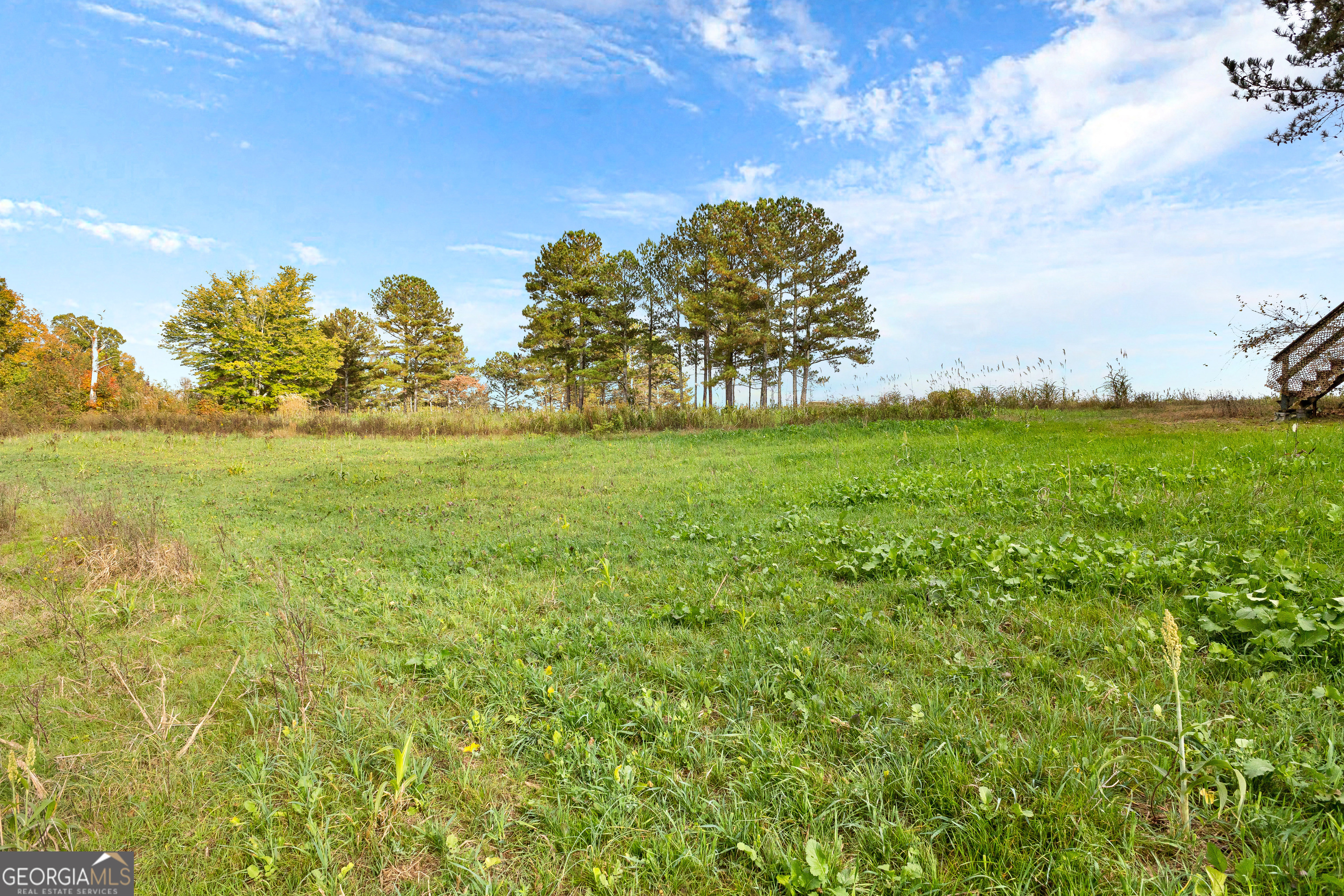 1915 Whooping Creek Church Road Carrollton, GA 30116 - Photo 32 of 52