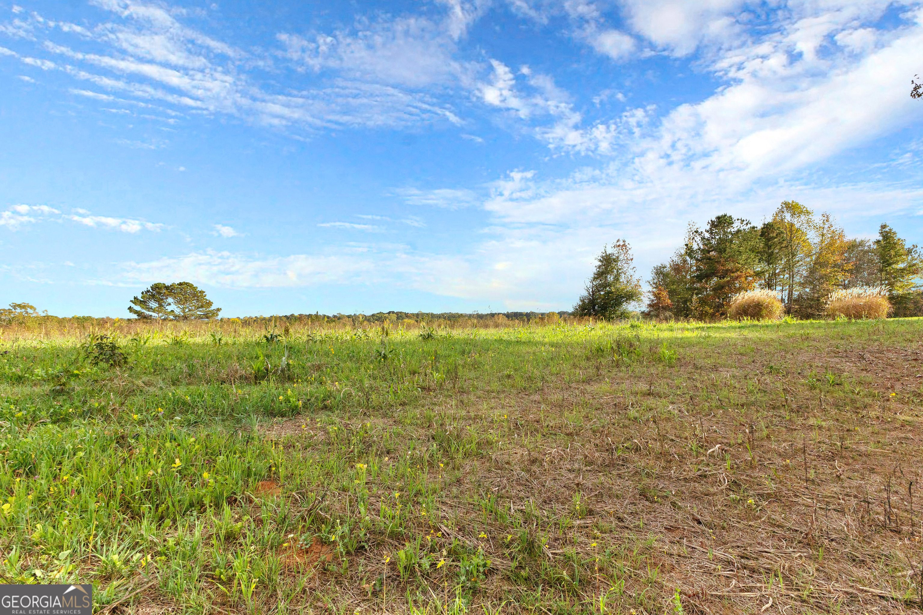 1915 Whooping Creek Church Road Carrollton, GA 30116 - Photo 33 of 52