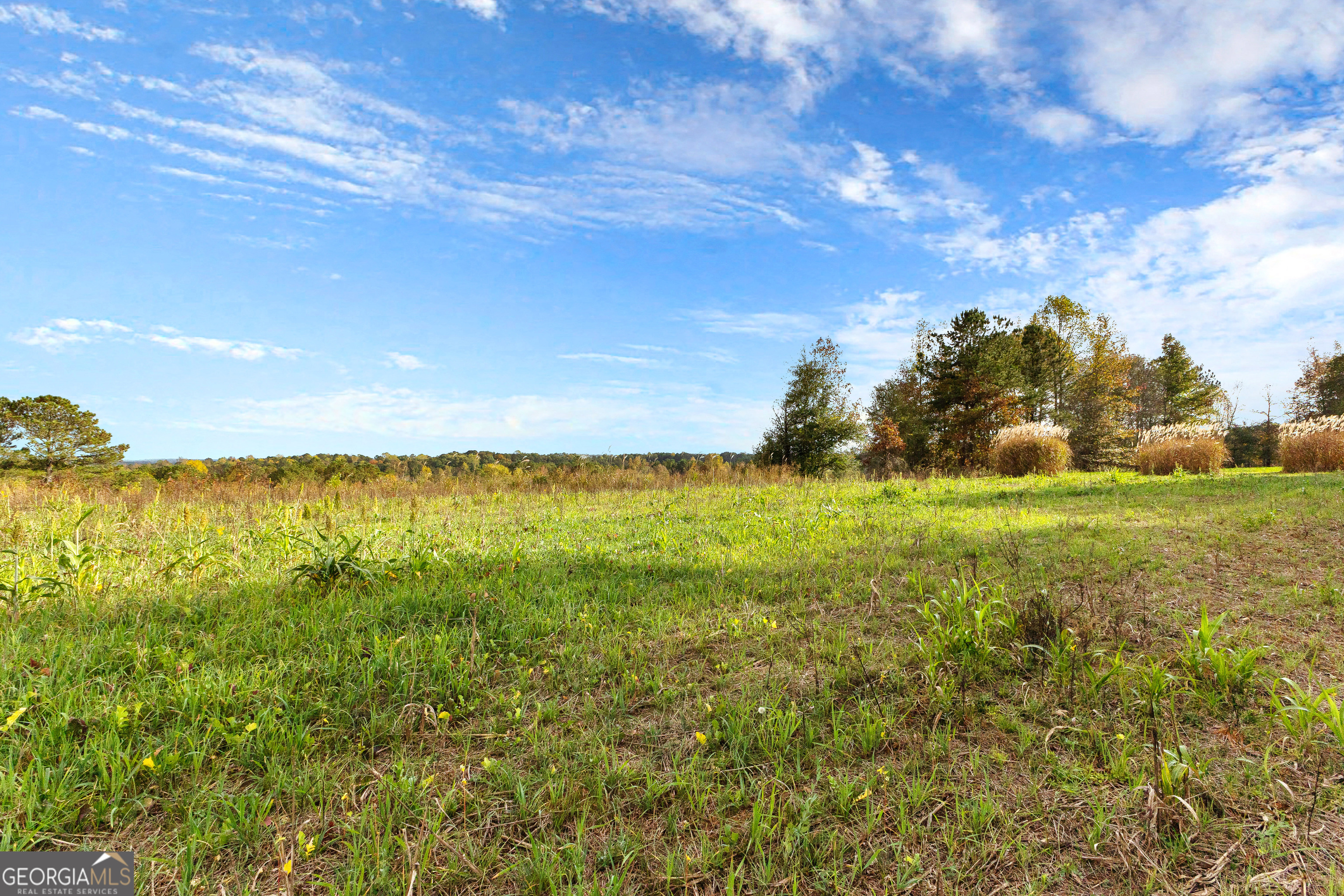 1915 Whooping Creek Church Road Carrollton, GA 30116 - Photo 34 of 52