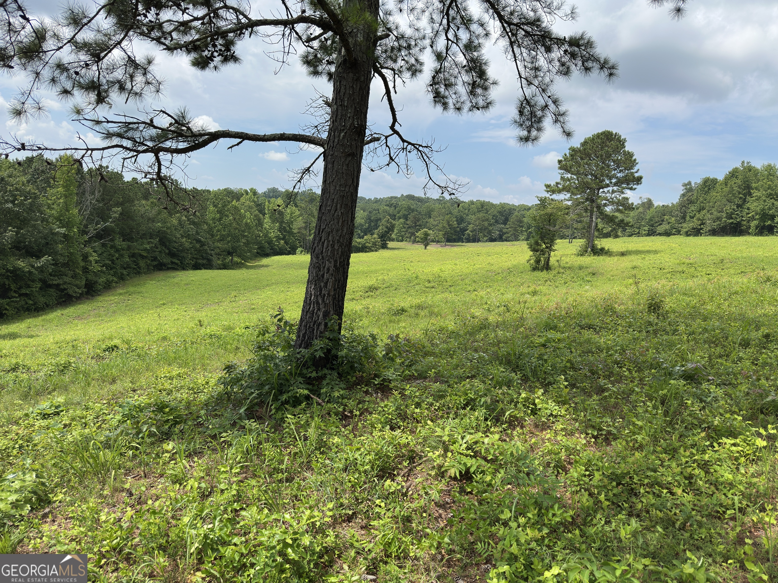 1915 Whooping Creek Church Road Carrollton, GA 30116 - Photo 39 of 52