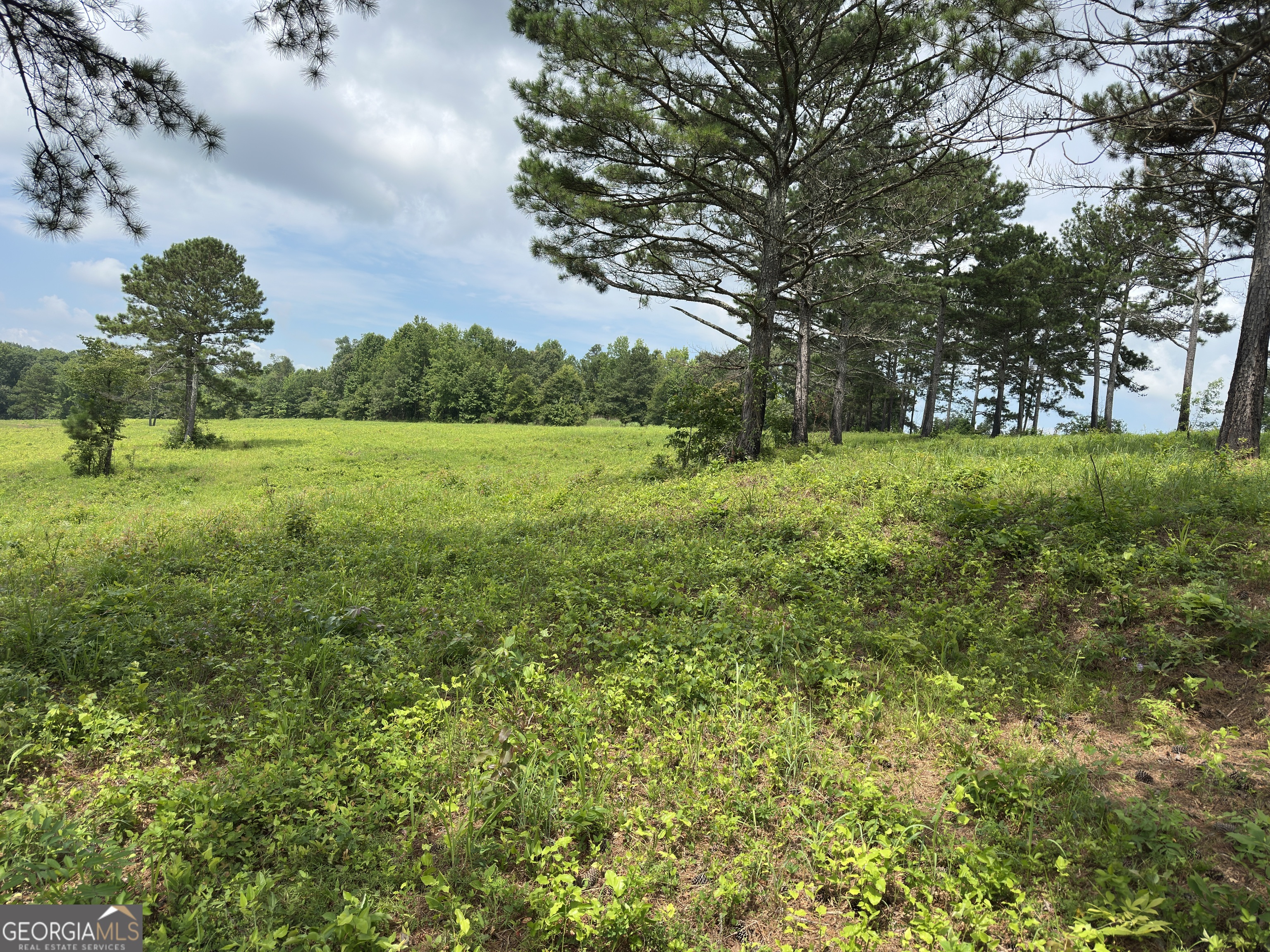 1915 Whooping Creek Church Road Carrollton, GA 30116 - Photo 40 of 52