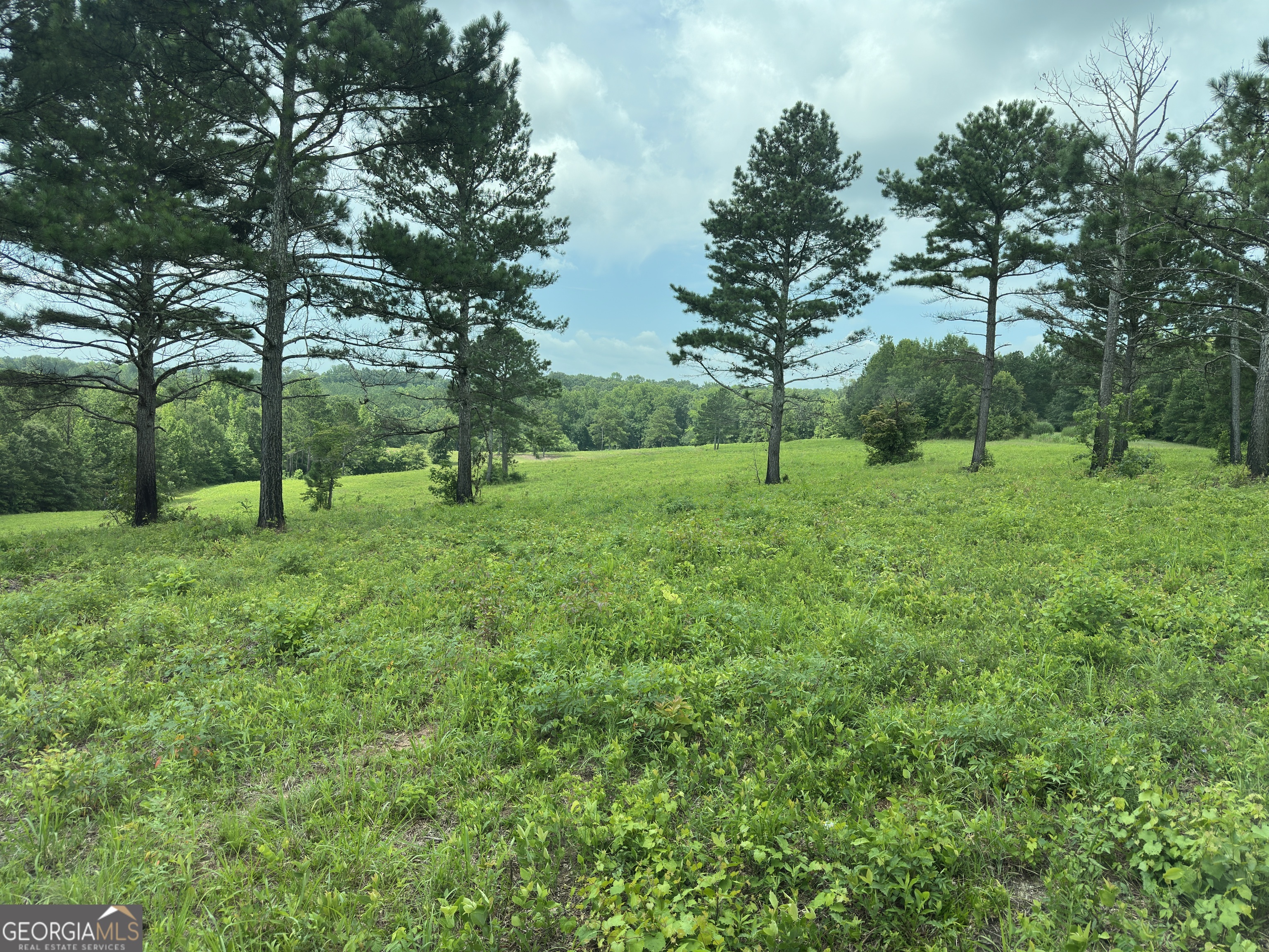 1915 Whooping Creek Church Road Carrollton, GA 30116 - Photo 41 of 52