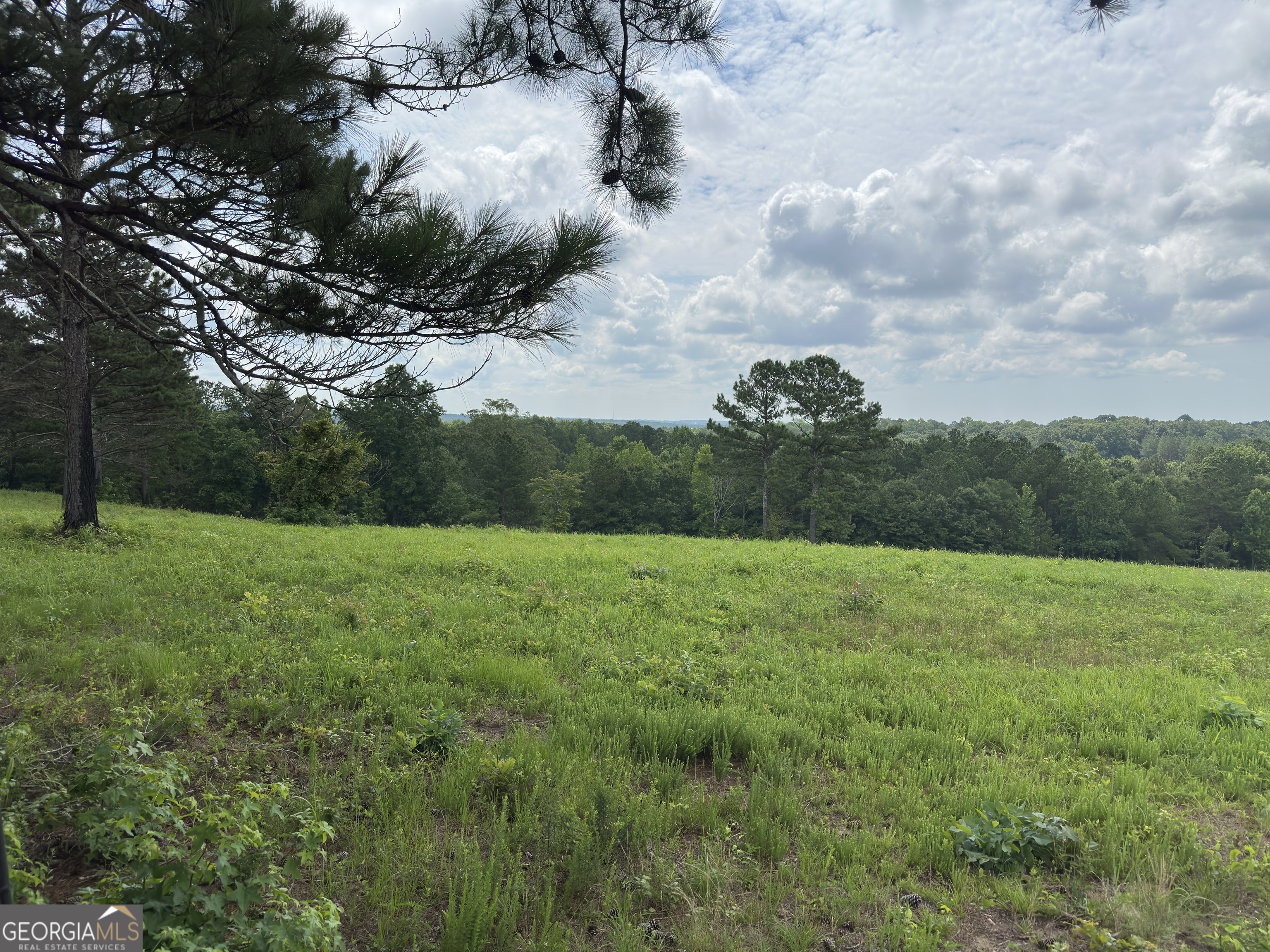 1915 Whooping Creek Church Road Carrollton, GA 30116 - Photo 43 of 52