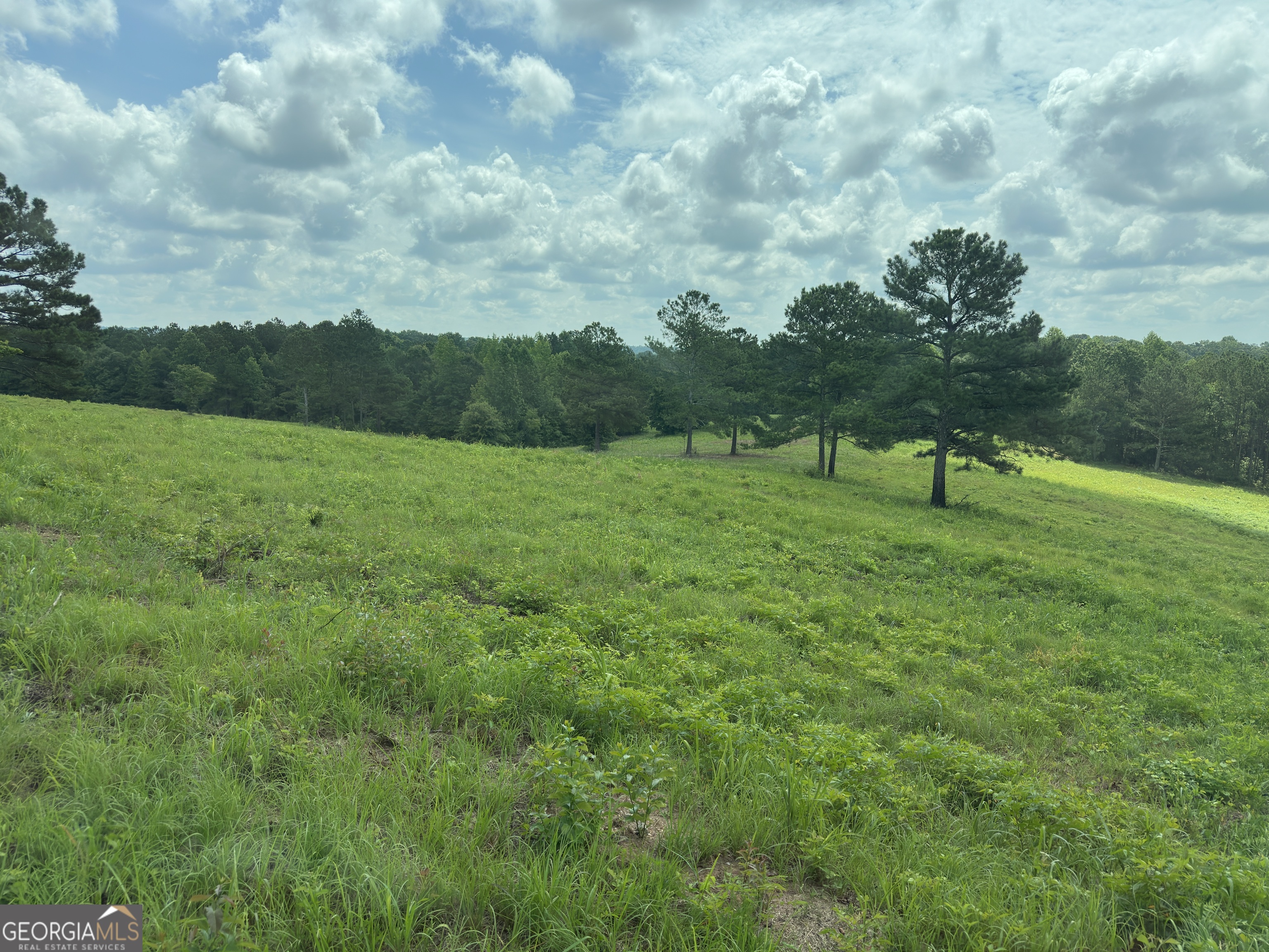 1915 Whooping Creek Church Road Carrollton, GA 30116 - Photo 45 of 52