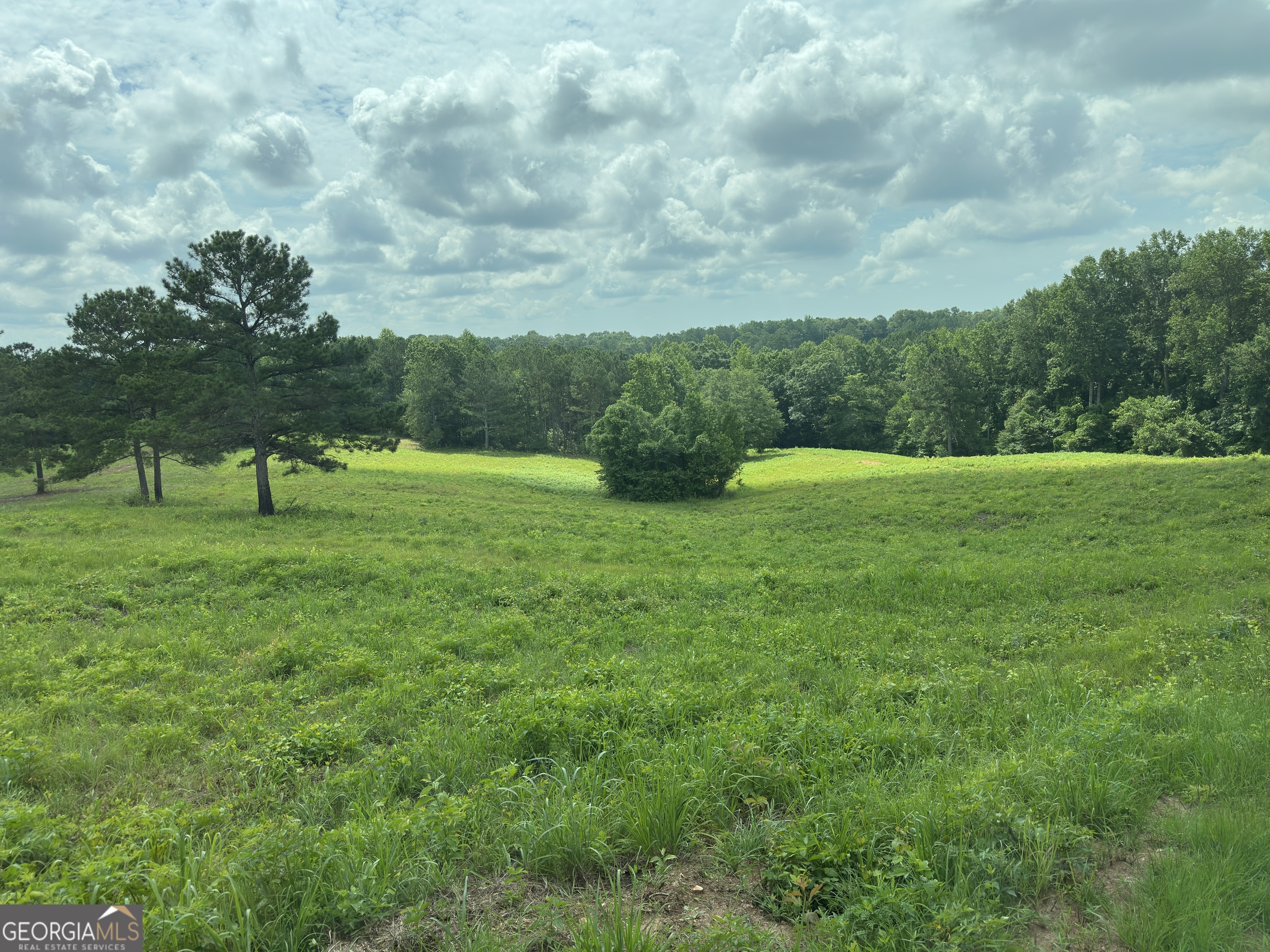 1915 Whooping Creek Church Road Carrollton, GA 30116 - Photo 46 of 52