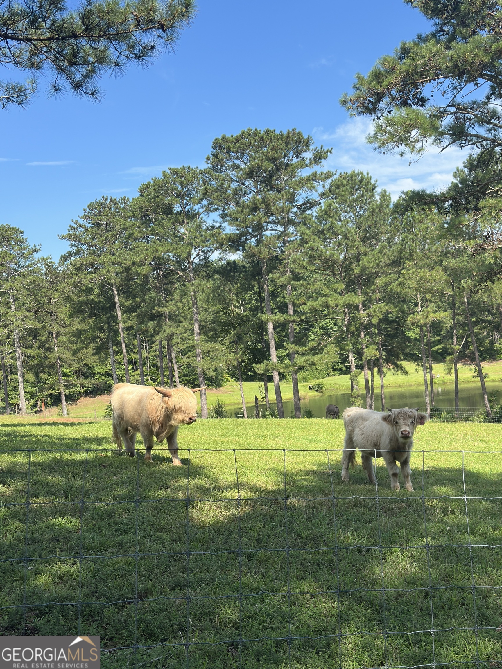 1915 Whooping Creek Church Road Carrollton, GA 30116 - Photo 49 of 52