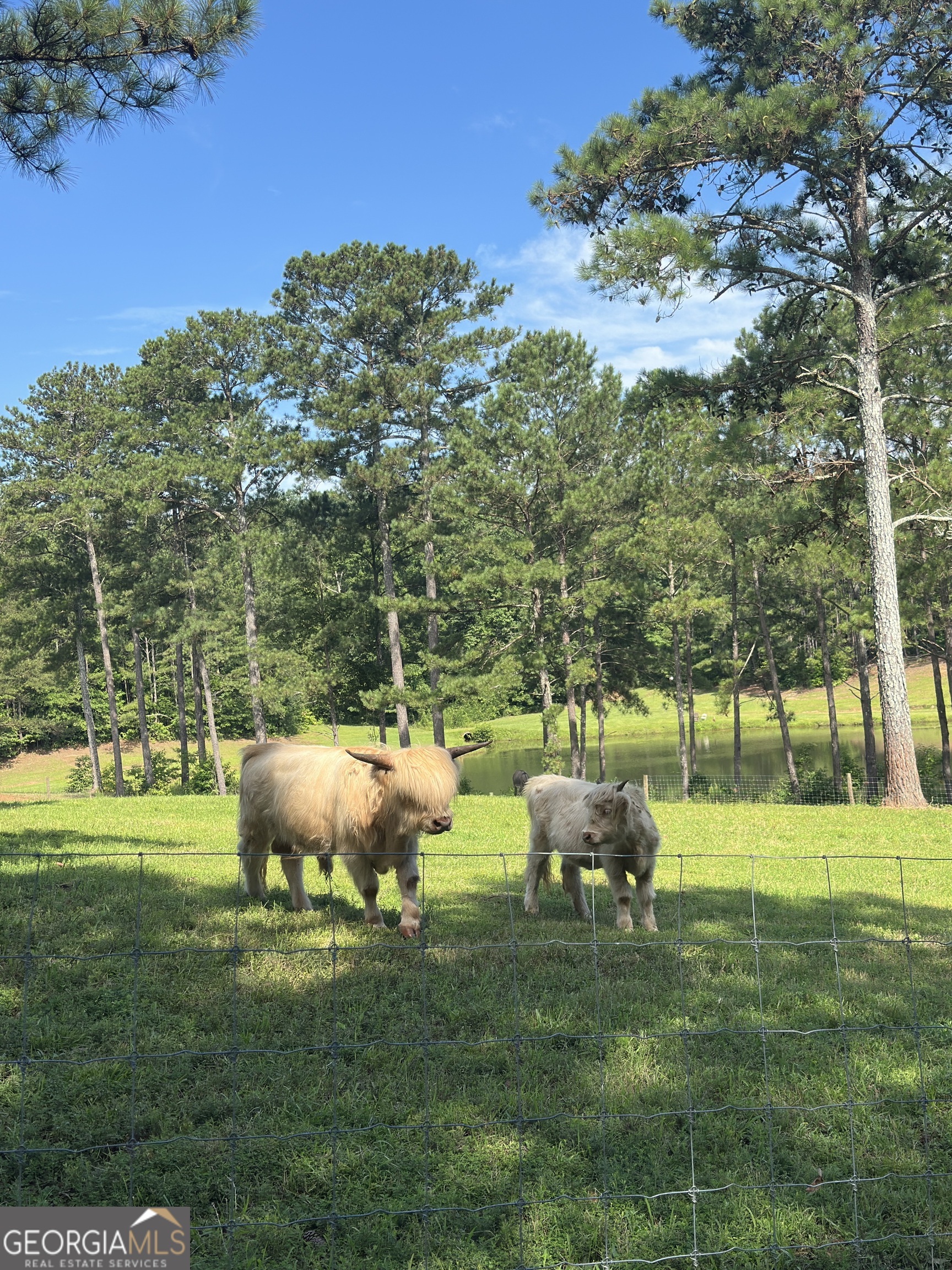 1915 Whooping Creek Church Road Carrollton, GA 30116 - Photo 50 of 52