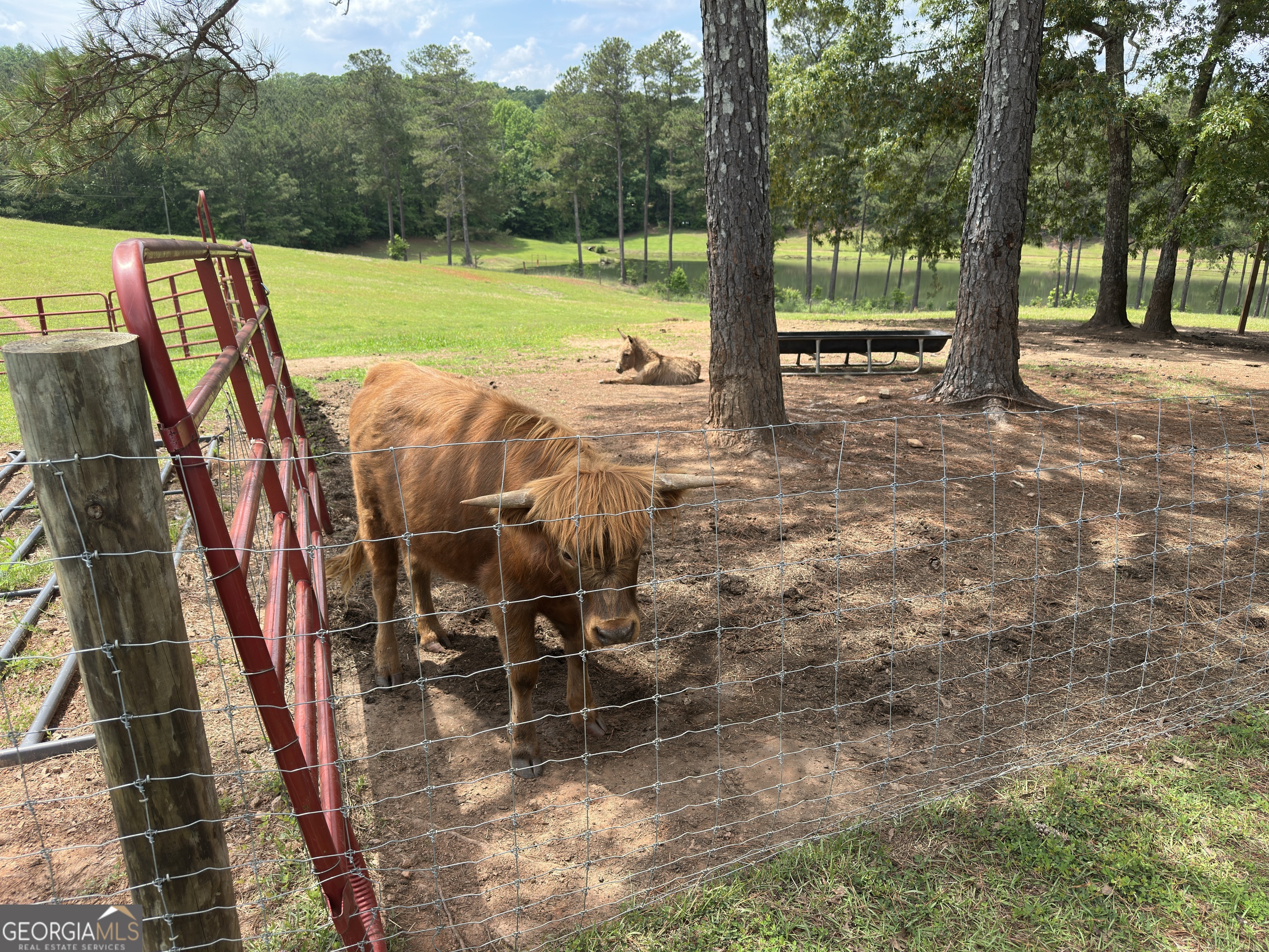 1915 Whooping Creek Church Road Carrollton, GA 30116 - Photo 10 of 52