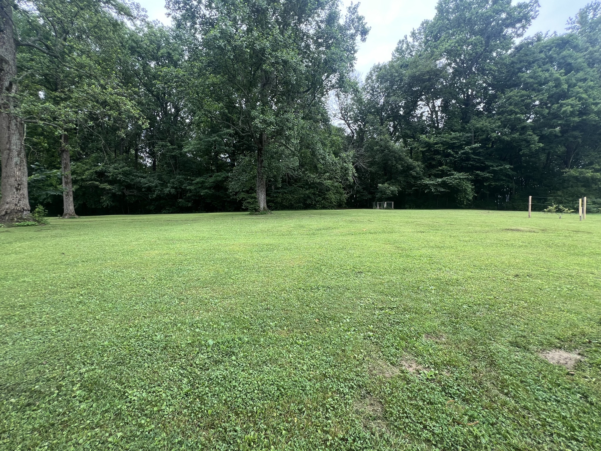 124 Amy Road Hillsboro, TN 37342 - Photo 20 of 24