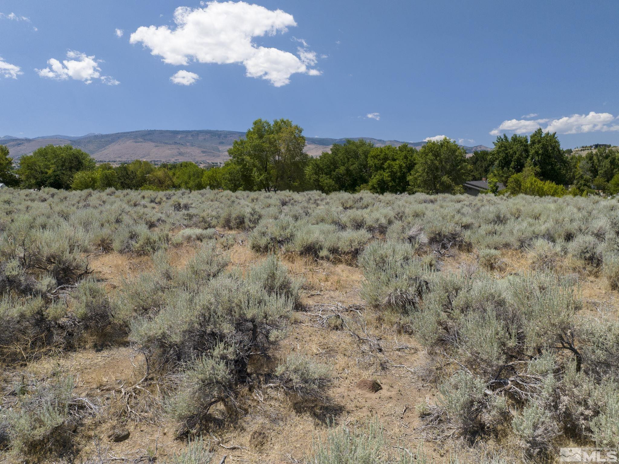 17 Glenhaven Drive Reno, NV 89511 - Photo 28 of 38 a view of a bunch of trees in a field