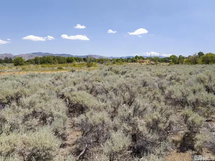 a view of a big yard