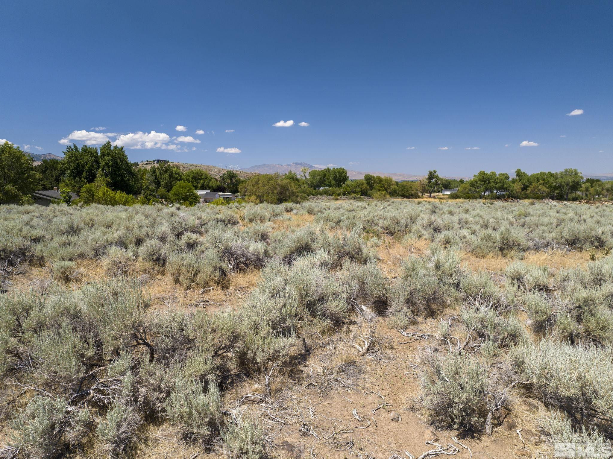 17 Glenhaven Drive Reno, NV 89511 - Photo 33 of 38 a view of a big yard