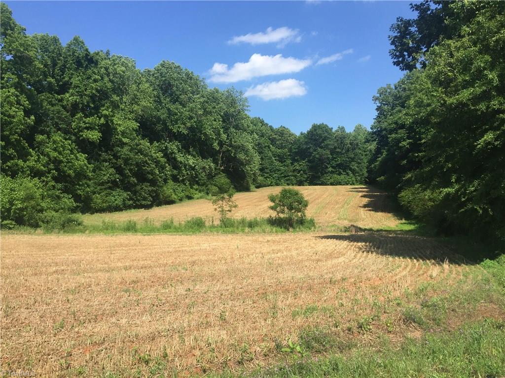 0 West Cooper Road Siler City, NC 27344 - Photo 1 of 7 Gallery Image 1