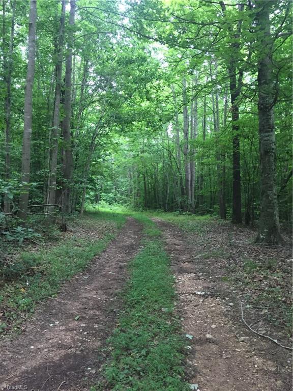 0 West Cooper Road Siler City, NC 27344 - Photo 5 of 7 Gallery Image 5