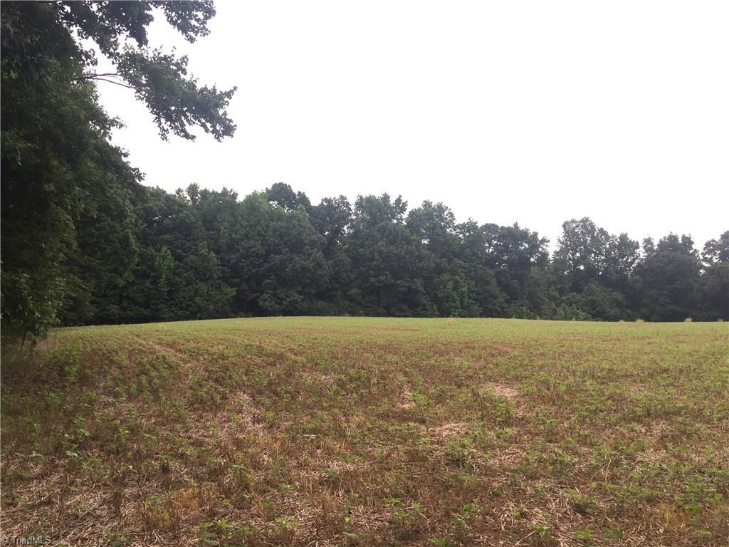 0 West Cooper Road Siler City, NC 27344 - Photo 6 of 7 Gallery Image 6