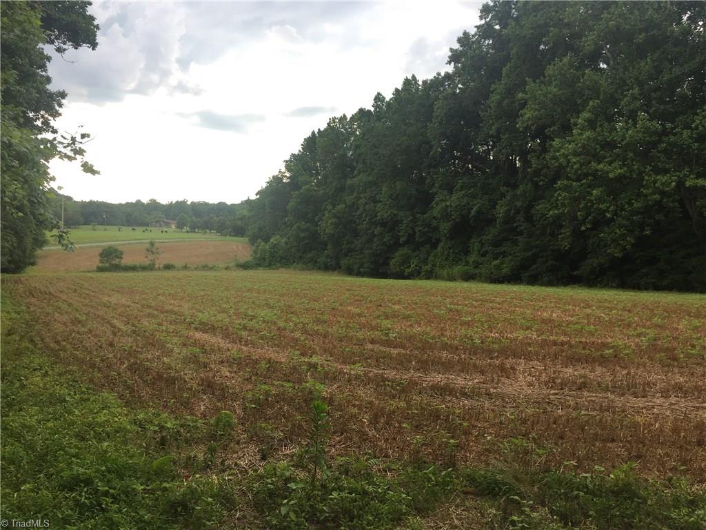 0 West Cooper Road Siler City, NC 27344 - Photo 7 of 7 Gallery Image 7
