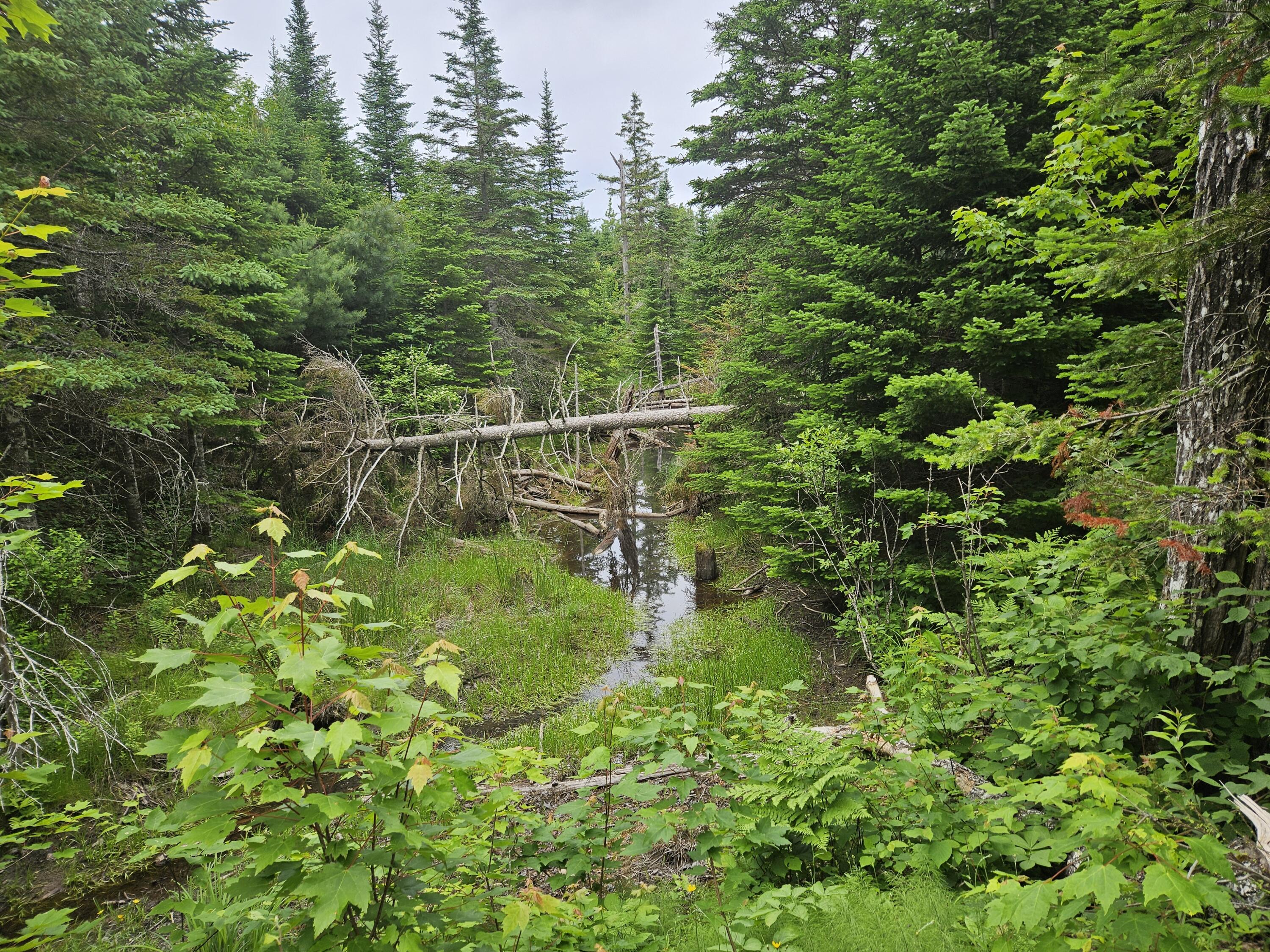 M17-l5&11 Number 7 Road Steuben, ME 04680 - Photo 1 of 27 T7 Stream