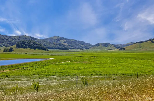 a view of a lake with a mountain in the background