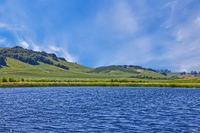 a view of a field with an ocean in the background