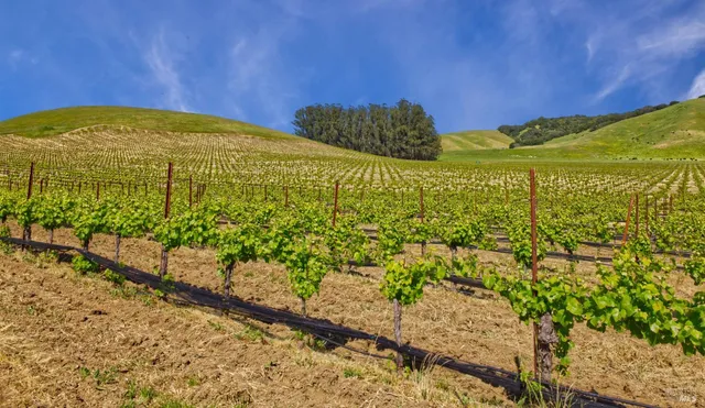 a view of an outdoor space and a yard
