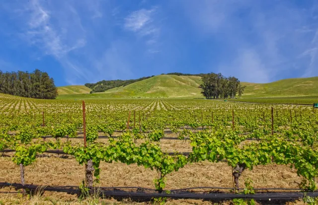 a view of under an umbrella