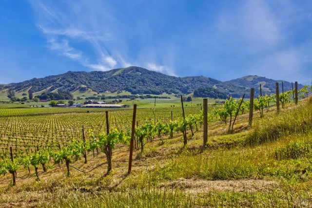 a view of an outdoor space with mountain view