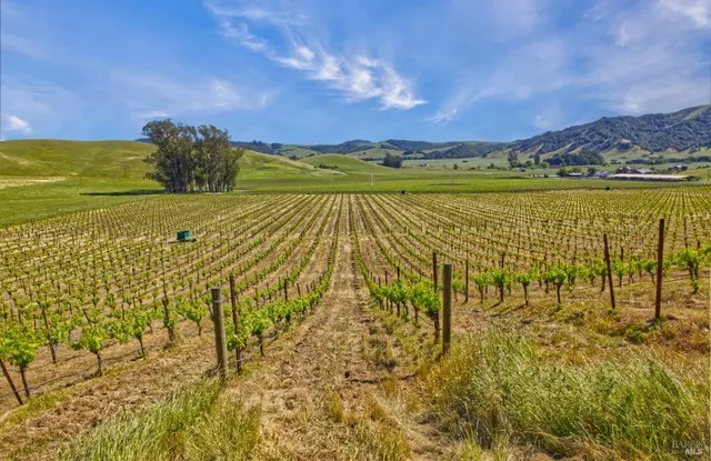 a view of an ocean and a mountain view