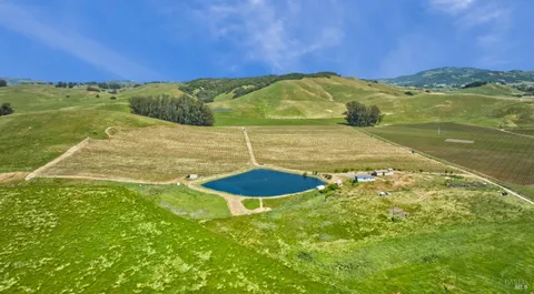 a view of a large pool with lawn chairs and large trees
