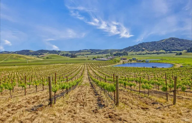 a view of an ocean and beach