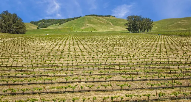 a view of a street with a building in the background