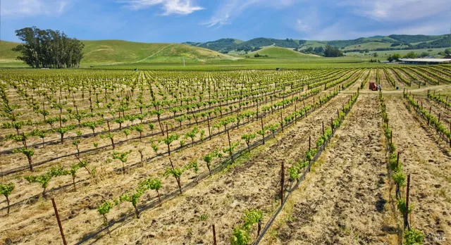 a view of an outdoor space